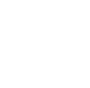 formula 1