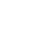 vice