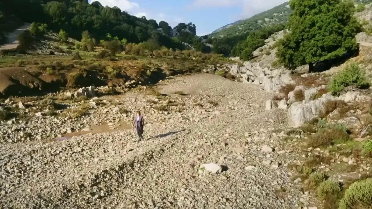 Cunk on Earth
